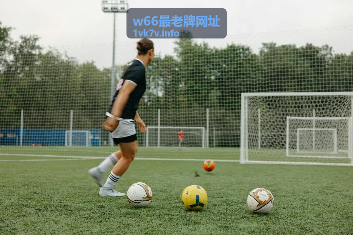 w66最老牌网址品牌实力解析概览图